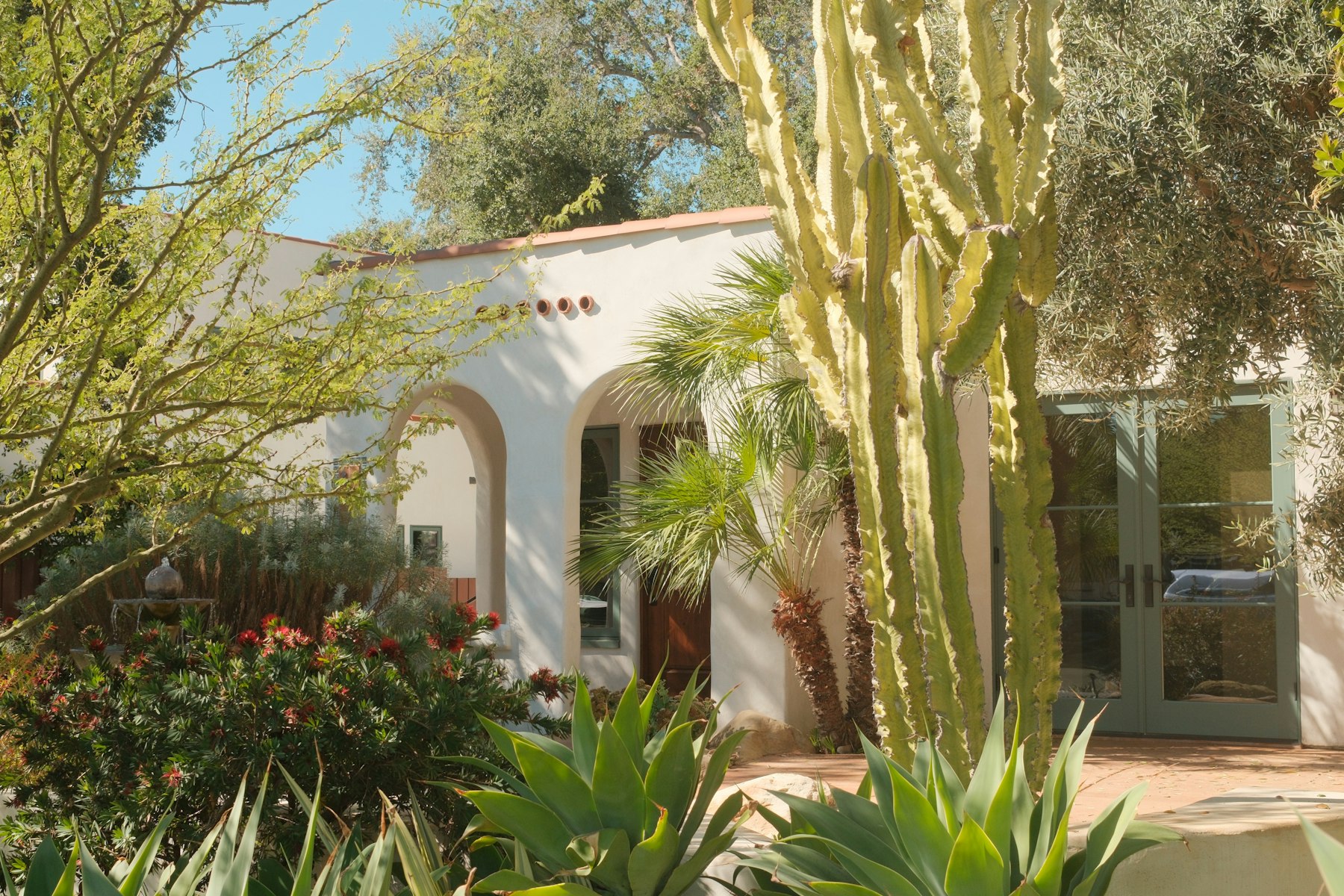 A home with desert landscaping and cactus plants